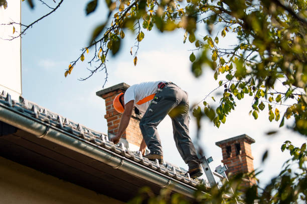 Best Local Roofing Companies  in Gervais, OR